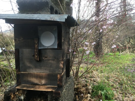200422日本ミツバチの巣箱設置